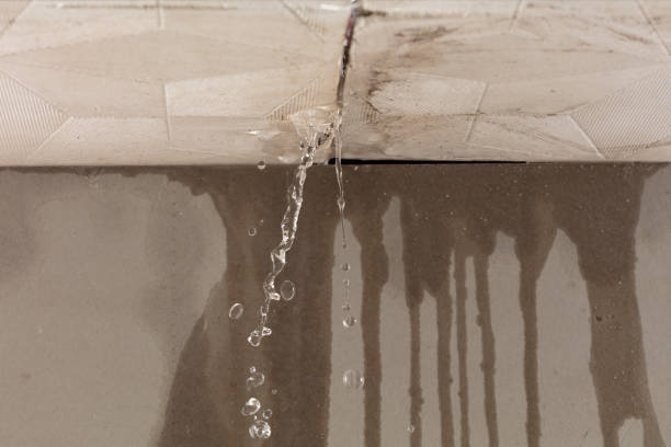 Professional Water Extraction technician working in Woodland, AL